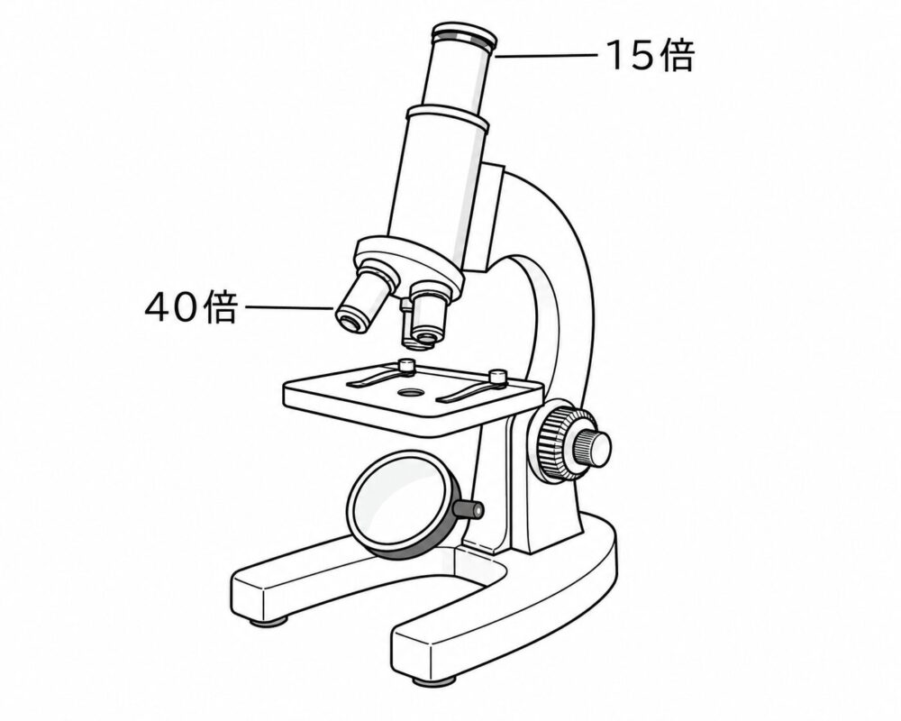 顕微鏡の倍率を計算する問題の図