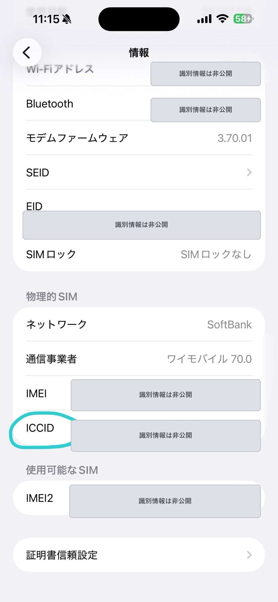 物理SIMを認識してICCIDが表示されたiPhoneの情報画面