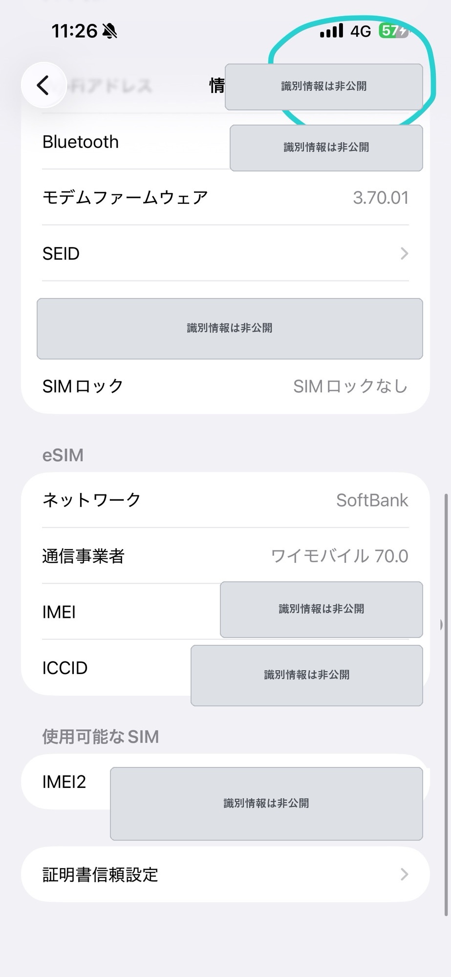 eSIMへの切り替え後に4G通信が復活したiPhoneの情報画面