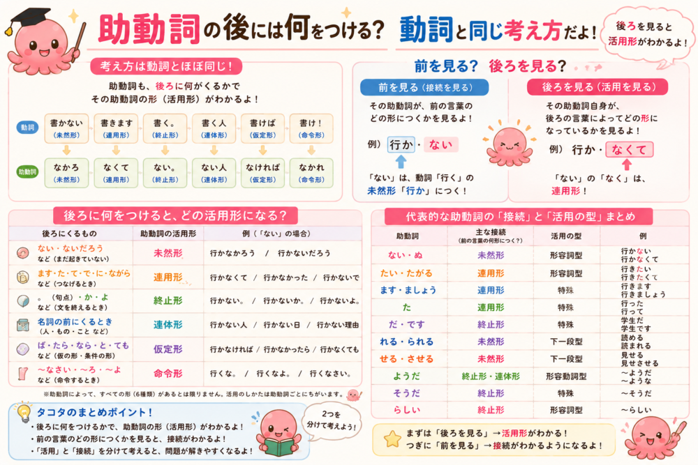 助動詞の活用と接続を動詞と同じ考え方で見分ける図解